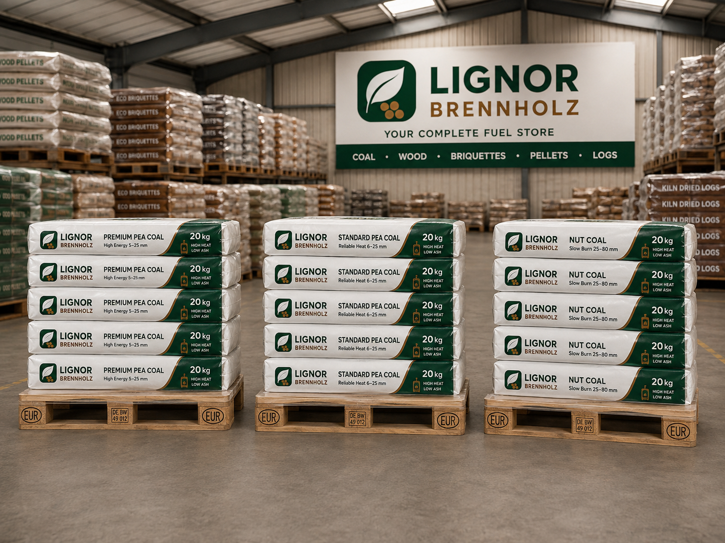 Steinkohle Standard 8–25 mm, 25–27 MJ/kg – Palette 1.000 kg (50 × 20 kg)