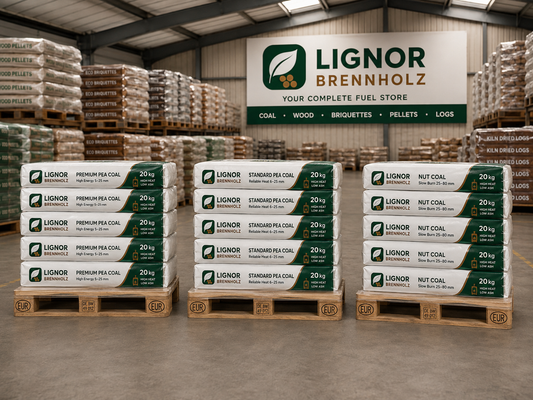 Steinkohle Standard 8–25 mm, 25–27 MJ/kg – Palette 1.000 kg (50 × 20 kg)