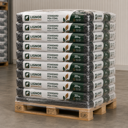 Steinkohle Standard 8–25 mm, 25–27 MJ/kg – Palette 1.000 kg (50 × 20 kg)