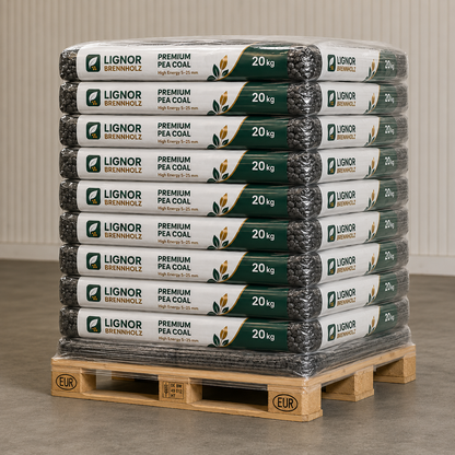 Premium-Steinkohle 5–25 mm, 27–29 MJ/kg – Palette 1.000 kg (50 × 20 kg)