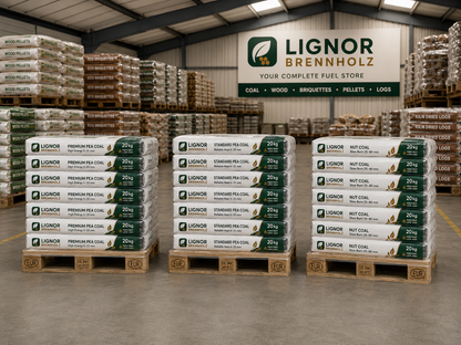 Premium-Steinkohle 5–25 mm, 27–29 MJ/kg – Palette 1.000 kg (50 × 20 kg)