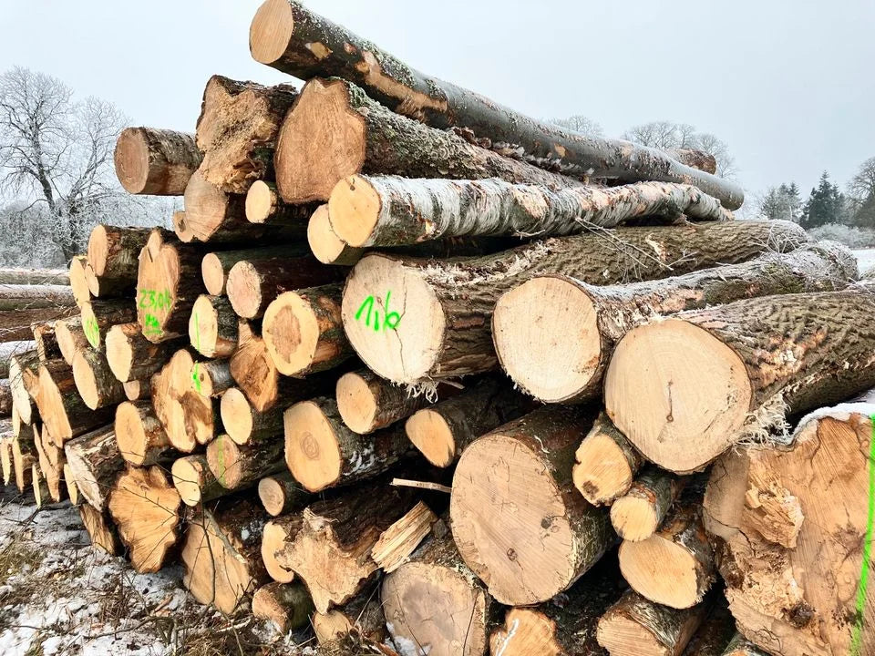PEFC-zertifiziertes Kiefernholz in Forstqualität – Luftgetrocknete Kiefernstämme als komplette LKW-Ladung mit ca. 60 m³