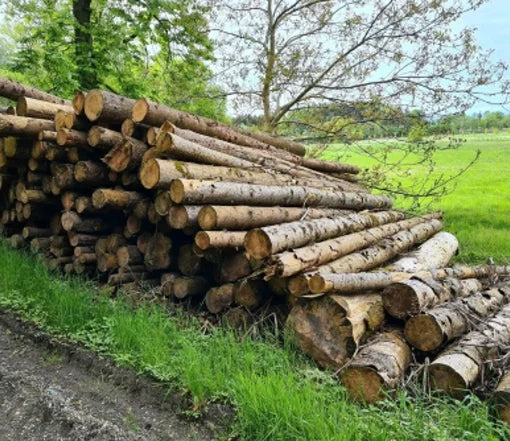 # PEFC-zertifizierte Fichtenstämme pro LKW-Ladung – 60 m³ Frischholz in hochwertiger Forstqualität