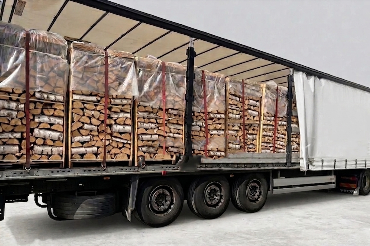 LKW-Ladung Brennholz - Buche - 25 cm - kammergetrocknet - 1,8 RM Paletten – Bild 2
