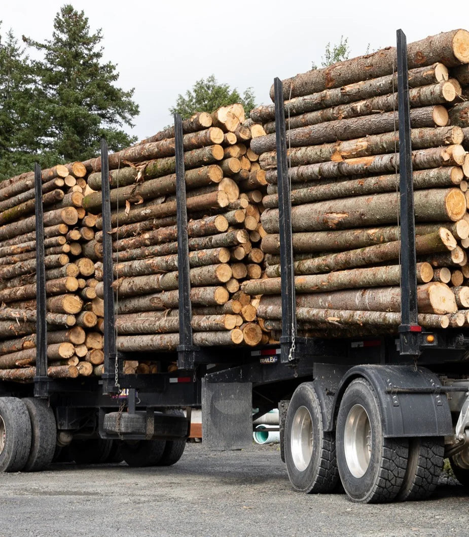 Kastanienstämme – Hochwertiges Kastanienholz, 50-Ster-LKW-Ladung für Brennholz, Heizung und nachhaltige Wärmeversorgung